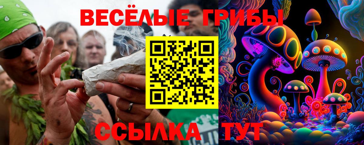 Псилоцибиновые грибы Psilocybe Домодедово